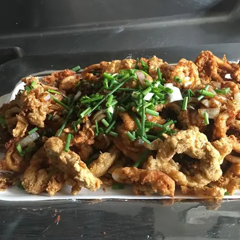 A plate of food with meat and green onions.