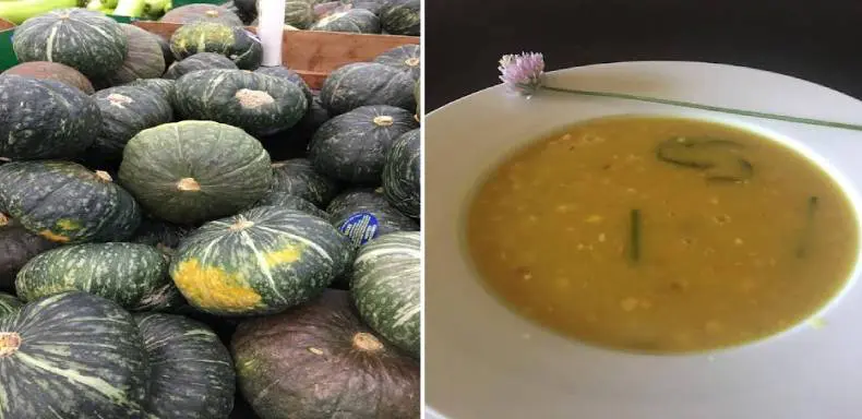 A collection of green and yellow squash on a market table; a bowl of yellow squash soup garnished with herbs on a white plate.